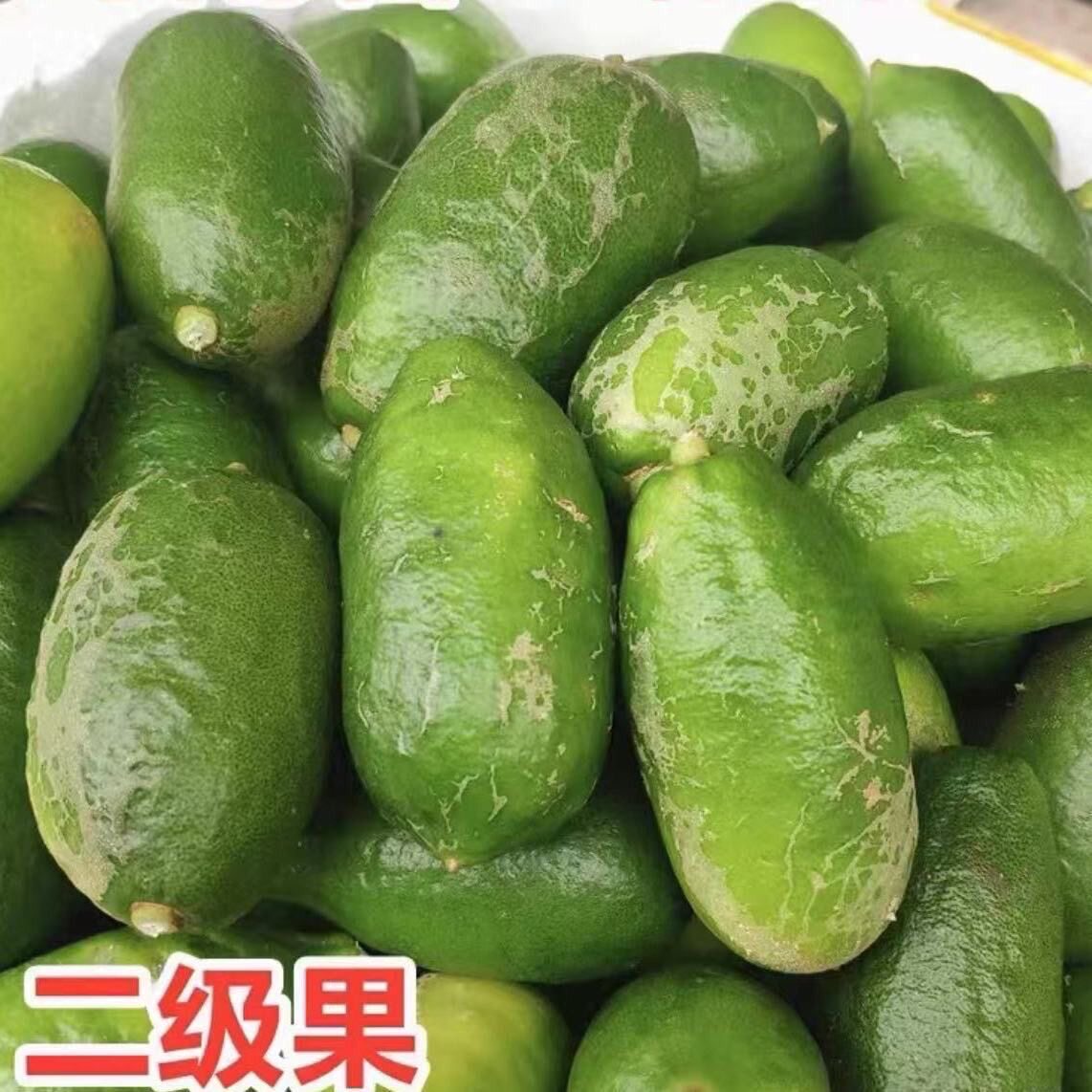 海南现摘无籽柠檬茶香水二级果花瑕疵奶茶店水果茶当季青柠檬批发
