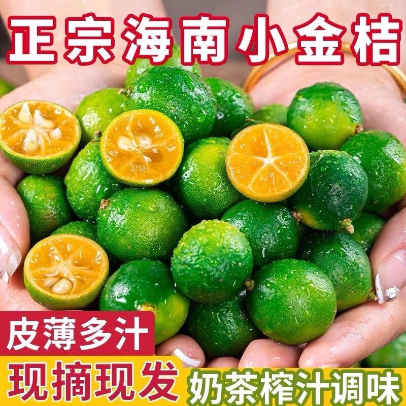 海南小金桔新鲜水果5斤当季小青柠青桔柠檬香水奶茶专用金桔包邮