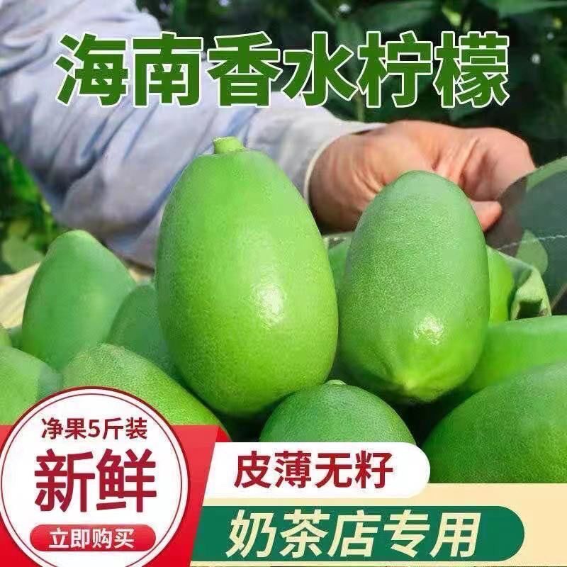 【产地批发价】海南无籽香水柠檬新鲜青柠檬奶茶店专用同款当季