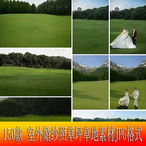 草地草丛素材室外婚纱照影楼后期修图合成背景素材