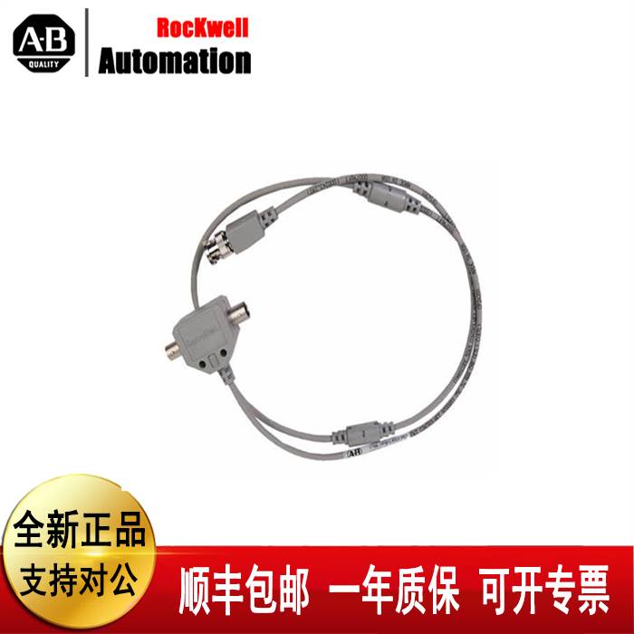 (议价)AB罗克韦尔1786-TPR 1786-TPYS 1786-TPS 1786-RPA 1786-