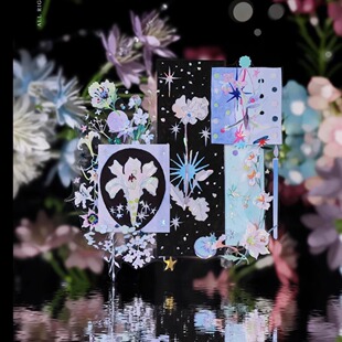 【循环分装】第九航道南柯一梦生如夏花你若流星降临苹果切片胶带