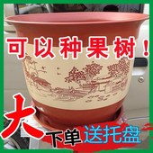 仿陶瓷花盆塑料发财树果树苗盆栽花卉月季 牡丹花盆 花盆特大号加厚