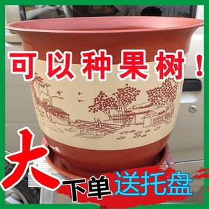 花盆特大号加厚仿陶瓷花盆塑料发财树果树苗盆栽花卉月季牡丹花盆