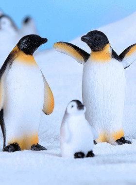 微景观小动物摆件可爱南极企鹅创意雪景冰川手工迷你海狮雪花装饰