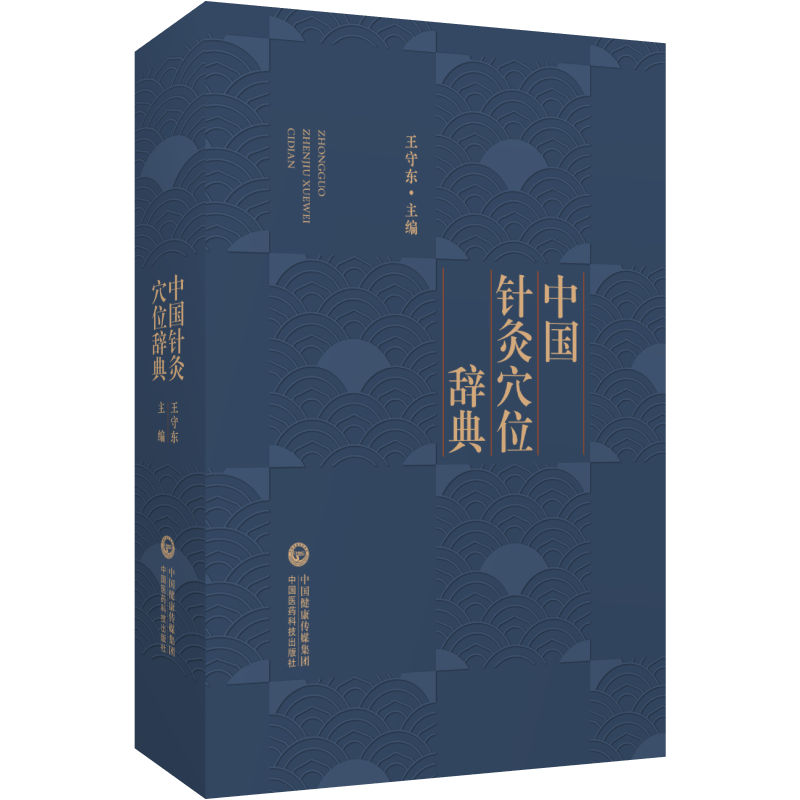中国针灸穴位辞典穴位图