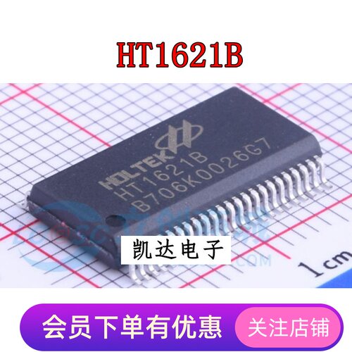 HT1621B 贴片SSOP58 LCD驱动芯片 全新原装芯片IC