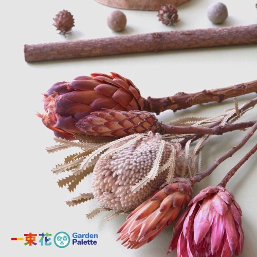 Импортный маленький лотос принцесса Berx Dry Flowers, северные высушенные цветы литературные цветочные композиции декоративная стрельба
