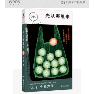 现货 书 光从哪里来 远子著 收录《有福之人》《地下的天空》《倒水河》和《冬眠》 上海文艺出版社