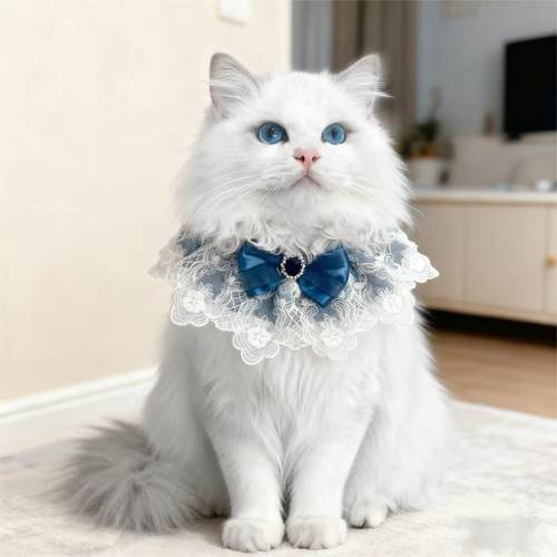 猫咪口水巾公主风蕾丝布偶猫围兜