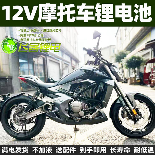 升仕310X310R310T310V锂电池