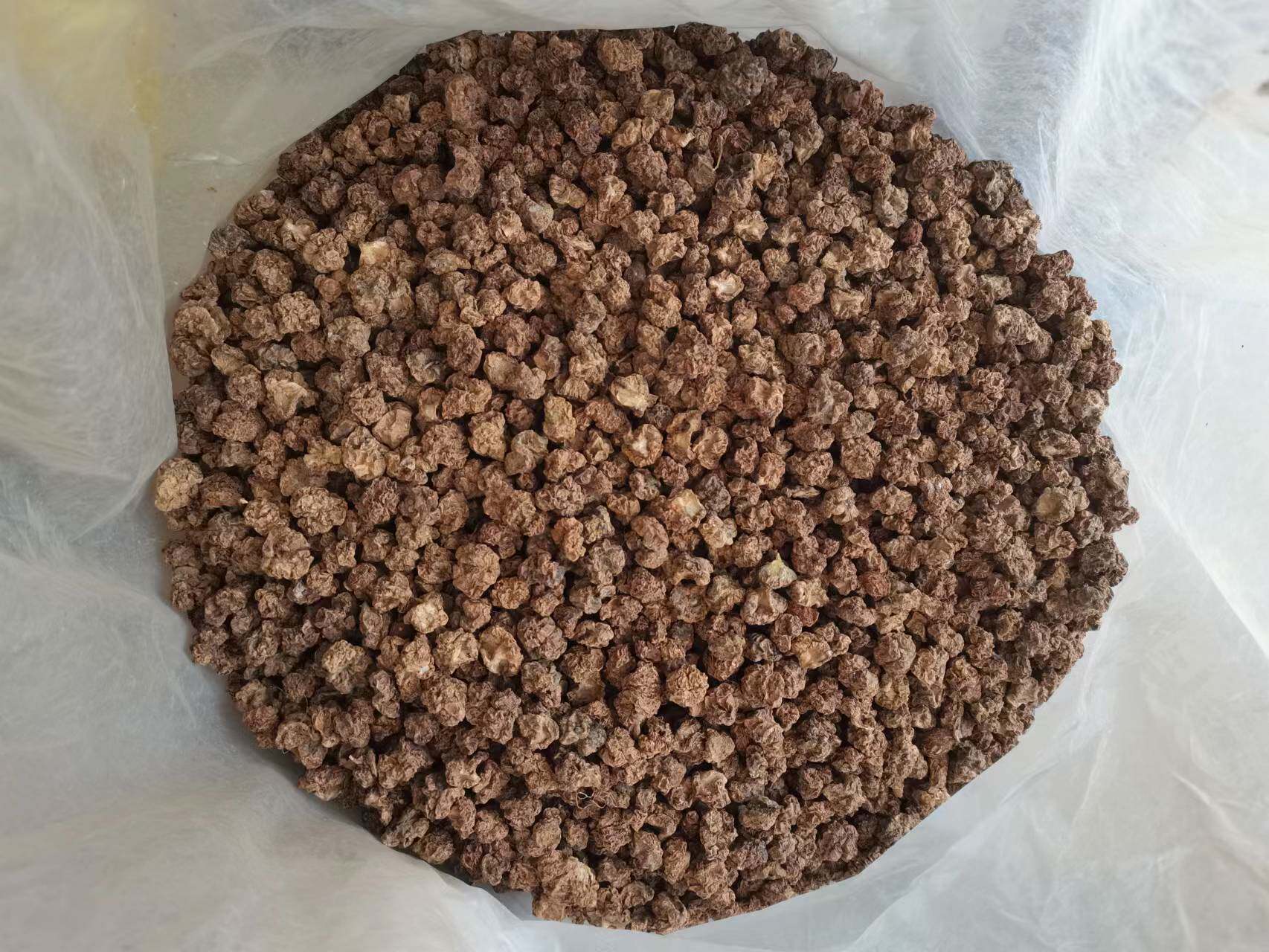 虫瘿果木天蓼果子水杨桃果实宠物猫咪磨牙果猫咪水果零食成猫洁齿