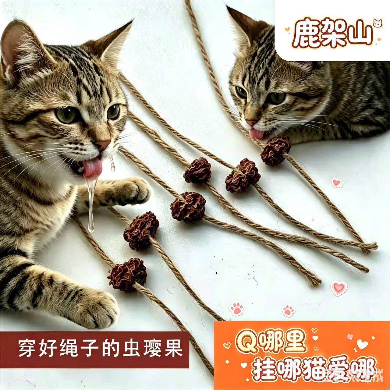 虫璎果带麻绳猫咪玩具配件磨牙洁齿玩具猫玩具配件解闷虫瘿果挂件