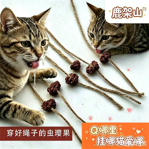 虫璎果麻绳猫磨牙洁齿解闷玩具