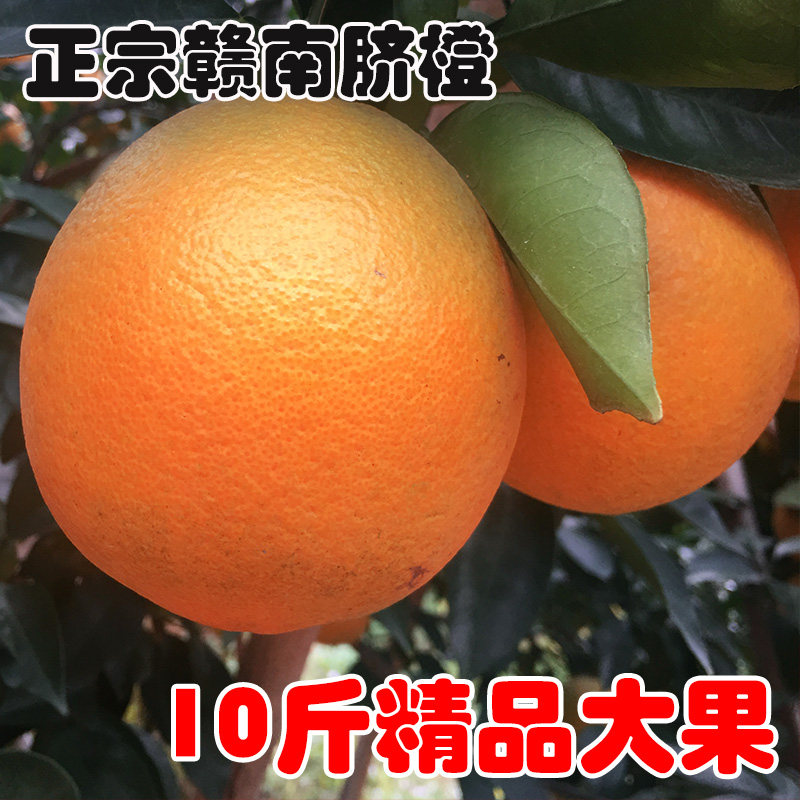 甜橙子新鲜水果10斤装江西寻乌赣南脐橙现摘手剥精品大果农家橙20,水产肉类/新鲜蔬果/熟食,橙,淘宝优惠券,粉丝福利购,淘宝优惠卷