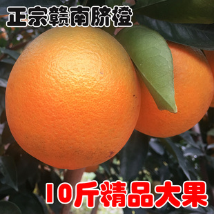 甜橙子新鲜水果10斤装江西寻乌赣南脐橙现摘手剥精品大果农家橙20