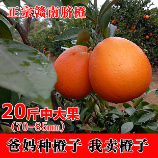 正宗赣南脐橙20斤包邮现摘寻乌新鲜当季江西省赣州甜橙子孕妇水果