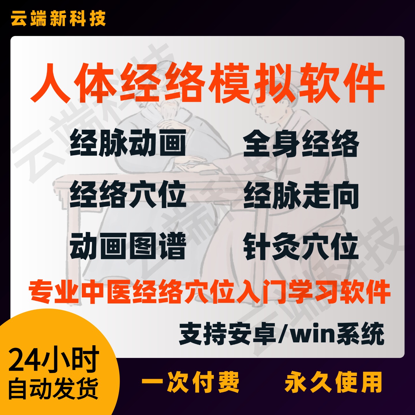 仿真人体十二经络穴位标准模型经脉走向3D模拟动画入门学习软件