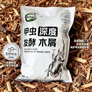 深度发酵长戟大兜木屑甲虫幼虫食材饲养幼虫粮食多添加适口好