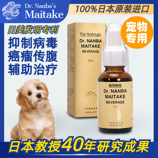 宠物用黑舞茸灰树花提取液猫狗传腹癌瘤免疫辅助剂日本原装进口