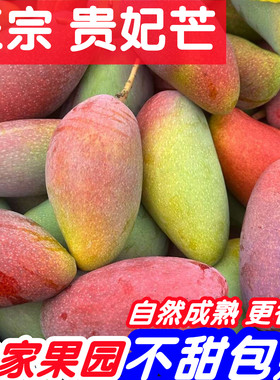 百色贵妃芒10斤广西芒果新鲜热带水果整箱特大甜心芒现摘彩虹芒5