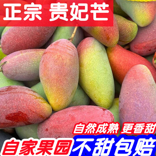 百色贵妃芒10斤广西芒果新鲜热带水果整箱特大甜心芒现摘彩虹芒5