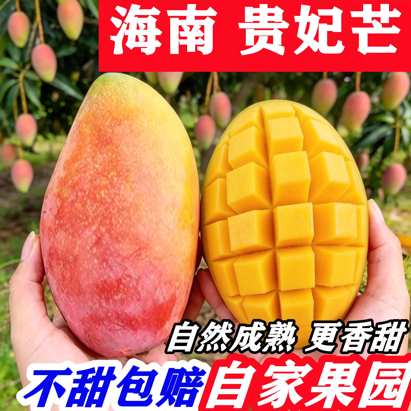 正宗贵妃芒9斤海南芒果新鲜热带水果8分树上熟整箱特大彩虹芒现摘