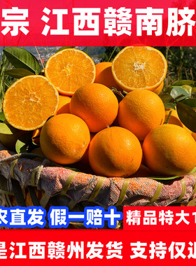 正宗赣南脐橙带叶江西赣州安远橙子9斤新鲜水果特级精品果园直发