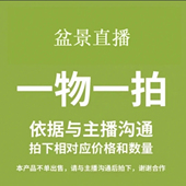 梅花海棠老桩盆景直播间一物一拍60 500