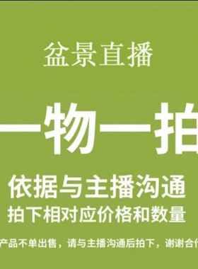 梅花海棠老桩盆景直播间一物一拍60-500