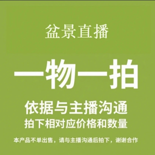 梅花海棠老桩盆景直播间一物一拍60 500