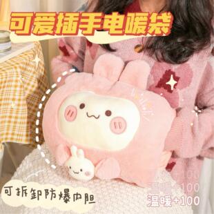 暖手抱枕插手充电式暖手宝防爆毛绒可爱冬天捂手抱枕宿舍过冬神器