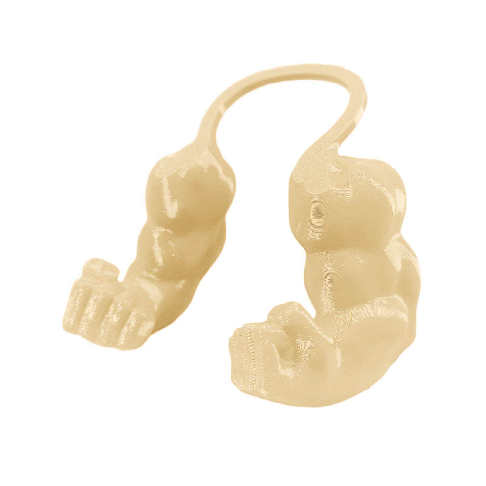 Muscle Cat Hulks Arms  肌肉猫绿巨人手臂