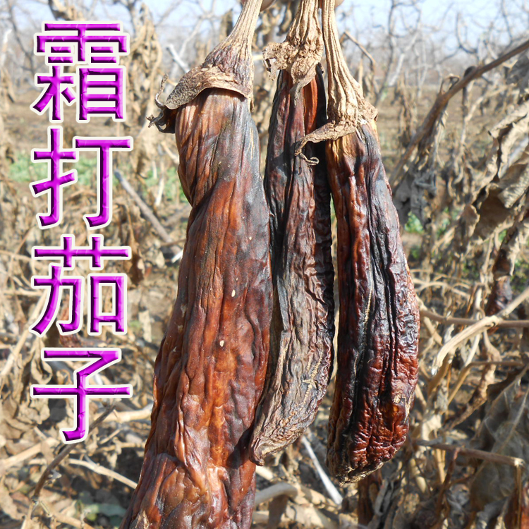 霜打茄子茄子干茄子把茄蒂茄皮茄种子包邮