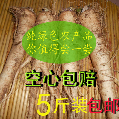 露天人参蔓菁钻地根小菜根