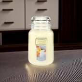 yankee扬杨基多汁柑橘海盐棉花citrus seasalt cotton香薰礼品ww