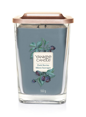 送点火器美国Yankee风尚扬基大瓶香薰大豆蜡烛552g香氛冰霜冷杉