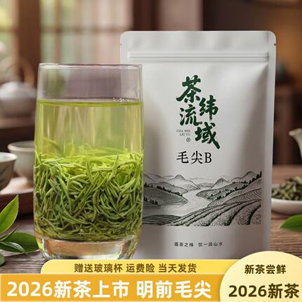 茶叶绿茶毛尖B五峰毛尖2026新茶雨前栗香味浓 500g散装宜昌特产茶