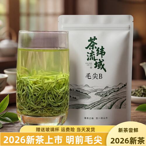 茶叶绿茶五峰毛尖2026浓香耐泡型