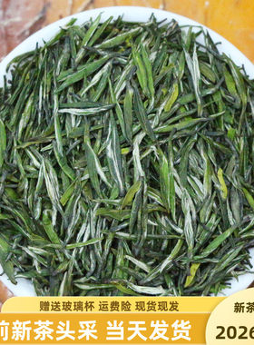 茶叶绿茶五峰毛尖雨花C清香型2026新茶明前贡芽250g罐装 茶纬流域