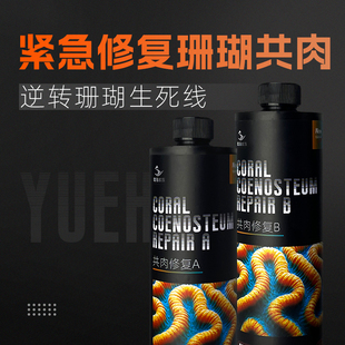 粤海共肉修复珊瑚细菌感染布朗冻杀菌火柴头细菌感染修复共生肉
