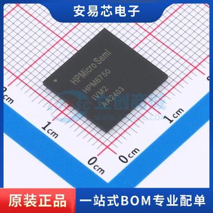 HPM6750IVM2 封装BGA-289 单片机(MCU/MPU/SOC) 全新原装
