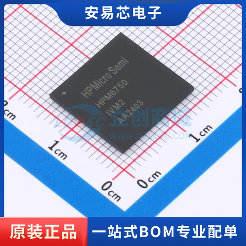 HPM6750IVM2 封装BGA-289 单片机(MCU/MPU/SOC) 全新原装