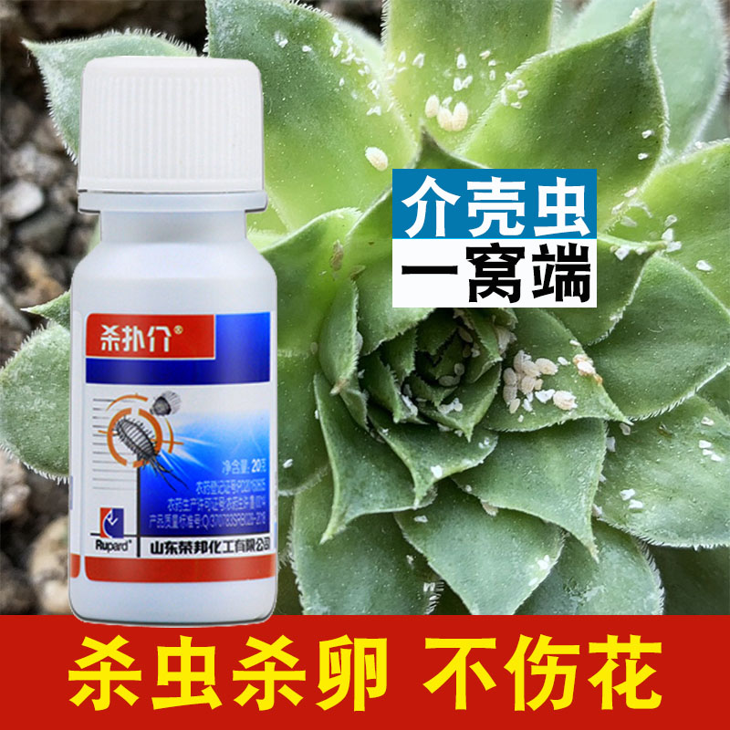 园艺通用噻嗪酮果树吹绵蚧介壳虫