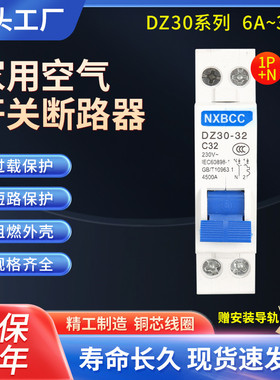 DZ30-32A空开双线空气开关断路器DPN16A空开单片1P+N 10A双进双出
