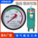 布莱迪轴向背接式 1.6mpa临东压力容器 储气罐压力表Y100Z彩色Y60Z