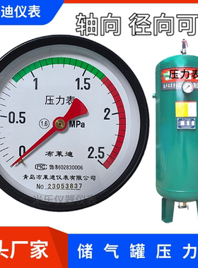 布莱迪轴向背接式储气罐压力表Y100Z彩色Y60Z*1.6mpa临东压力容器
