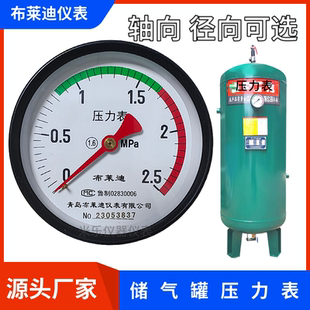 布莱迪轴向背接式 1.6mpa临东压力容器 储气罐压力表Y100Z彩色Y60Z