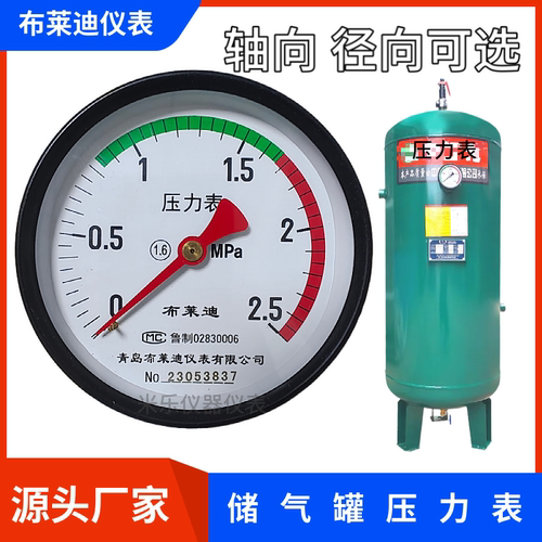 布莱迪储气罐轴向彩色表盘Y100