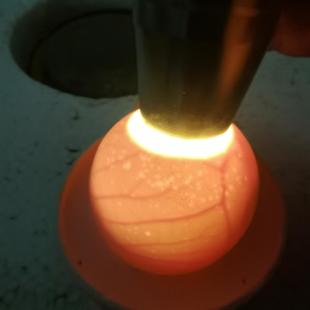 20枚鹊山鸡-纯种-五颜六色鹊山鸡-受精蛋-可孵化-小品种鸡